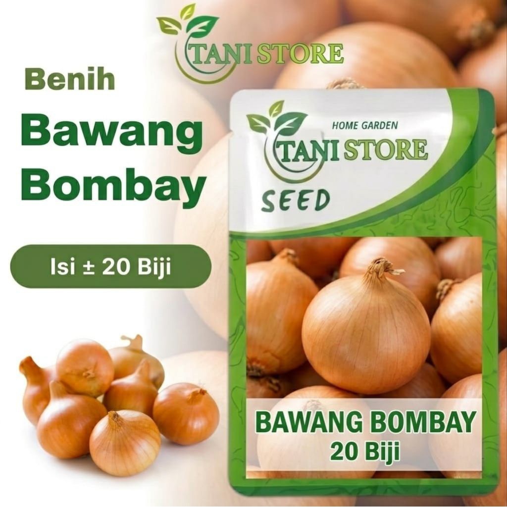 bibit benih bawang bombay ±20 biji benih unggulan berkualitas tinggi