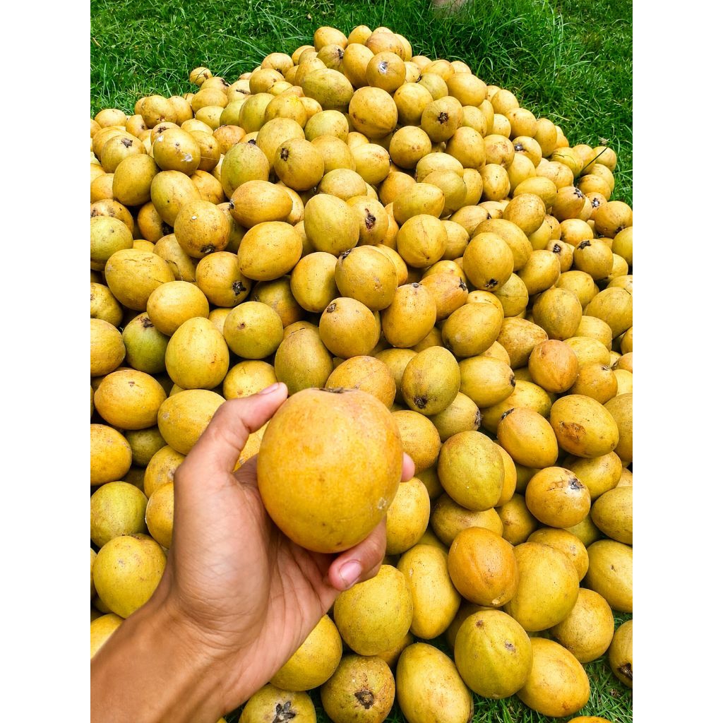 SAWO SIMADU SUPER LEGIT MANIS 1 KG