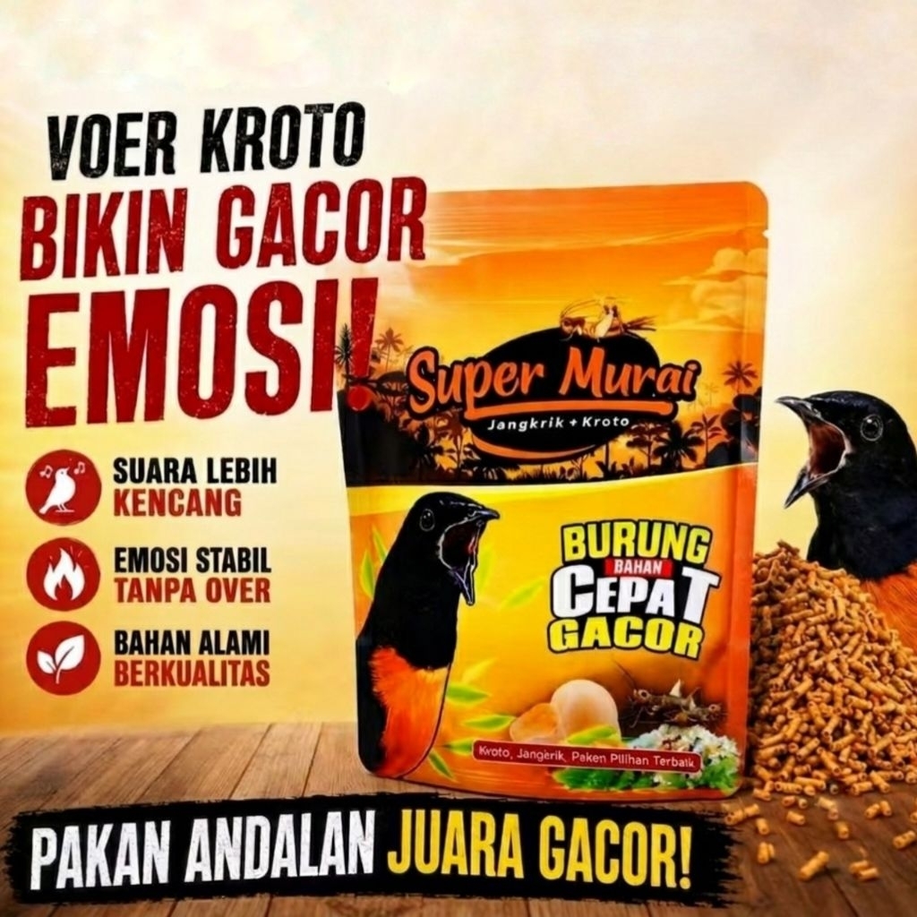Pur Super Murai | Bikin Murai Cepat Gacor