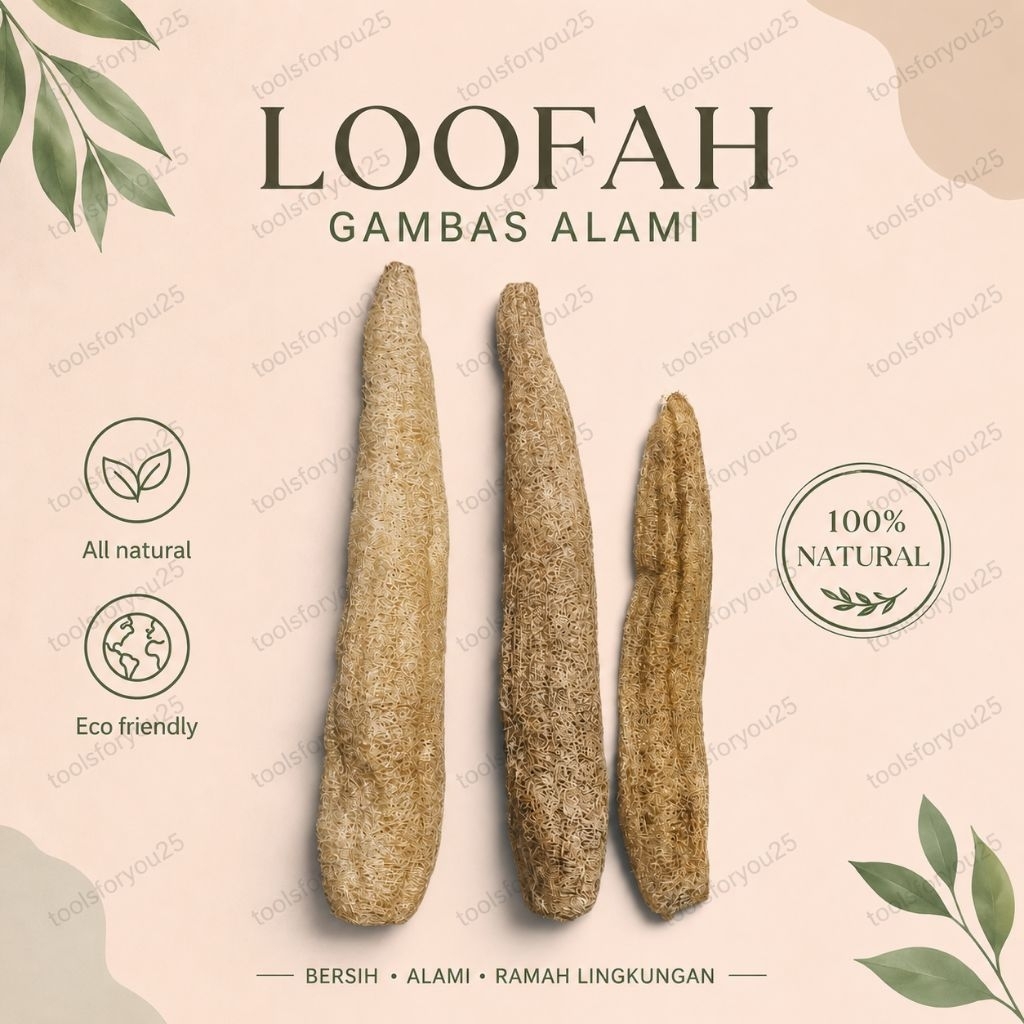 READY GAMBAS OYONG KERING / LOOFAH