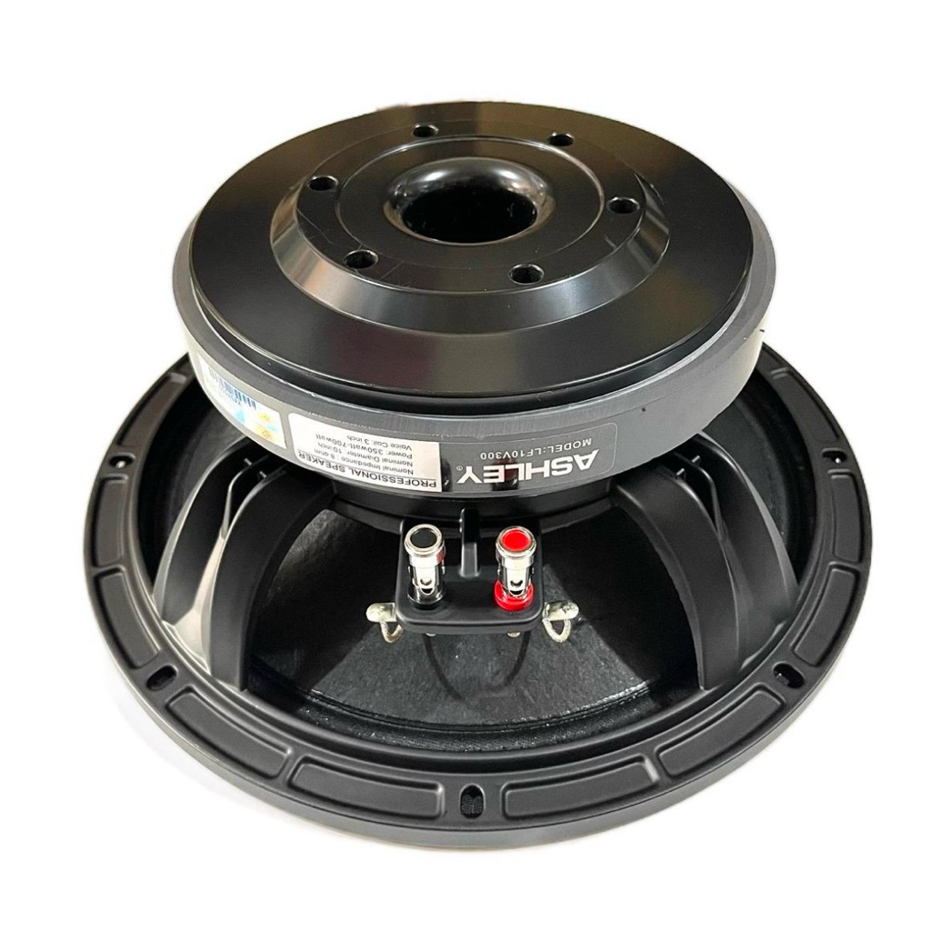 Speaker 10 inc Ashley 10V300 | SPEAKER ASHLEY 10inch 10v300