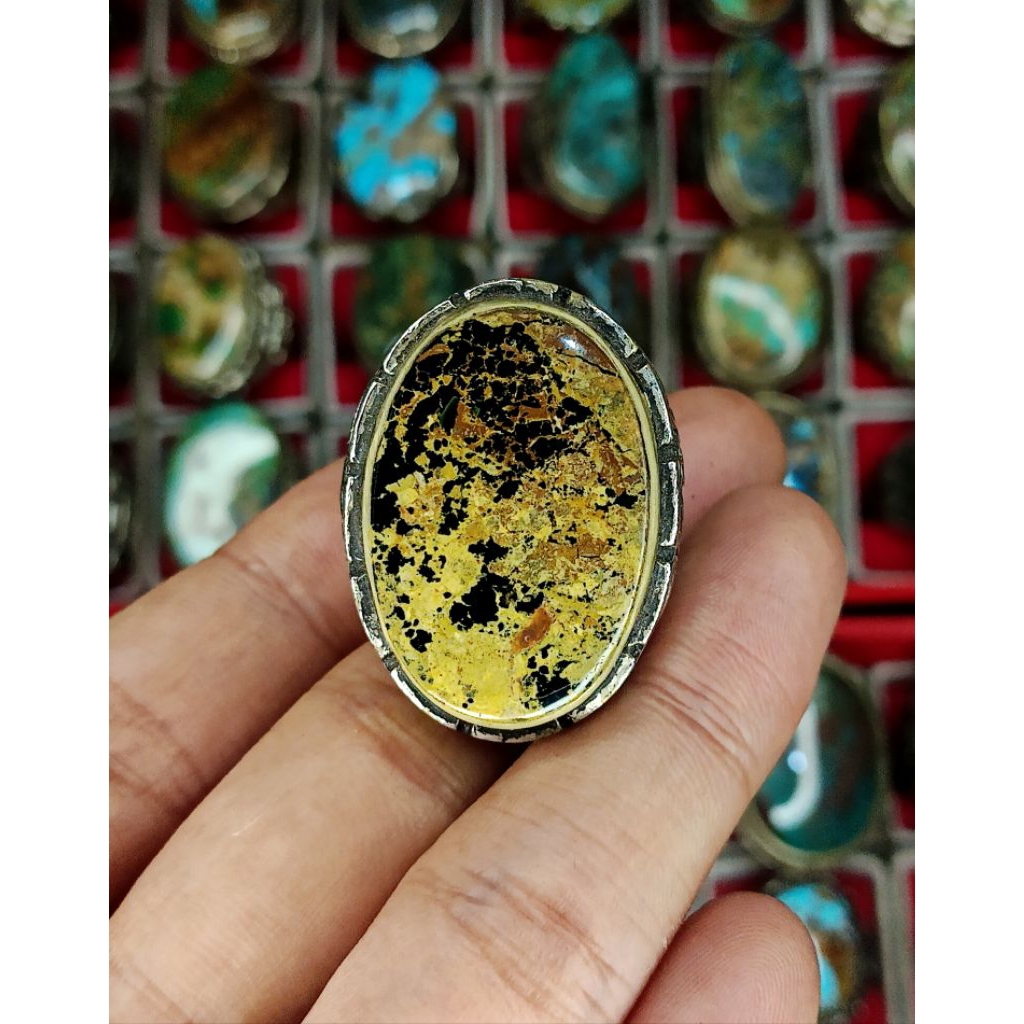 pirus Persia hitam jumbo
