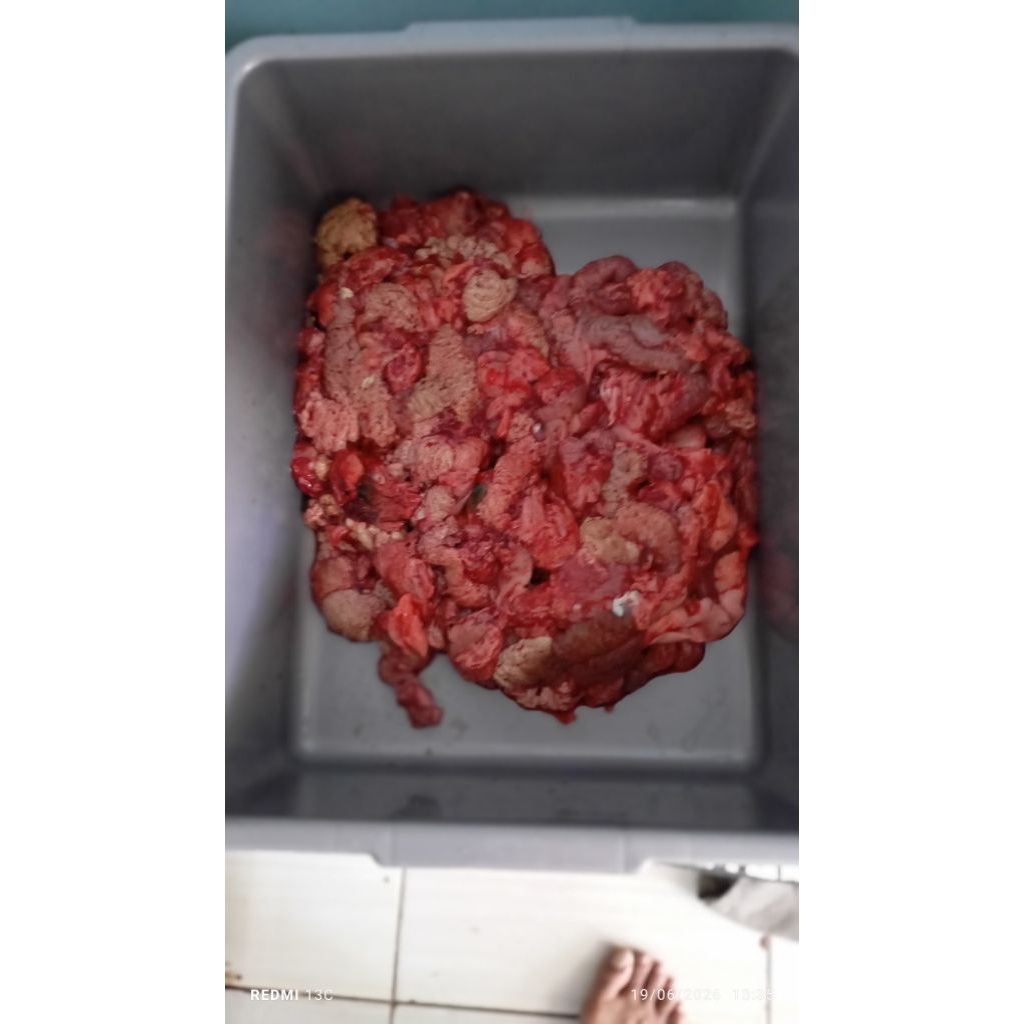 telur ikan mas , kemasan 300 gram.