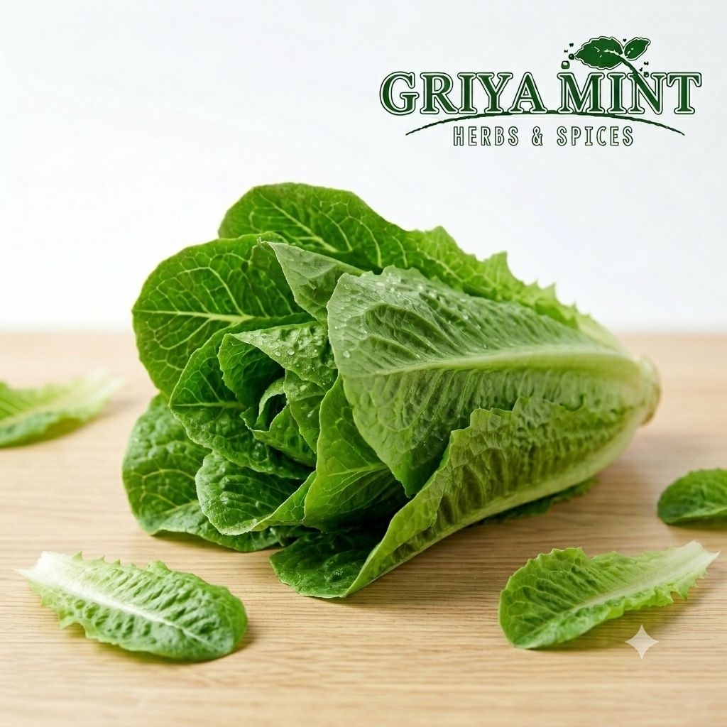 ROMAINE FRESH 200 gram Salad Romaine Segar