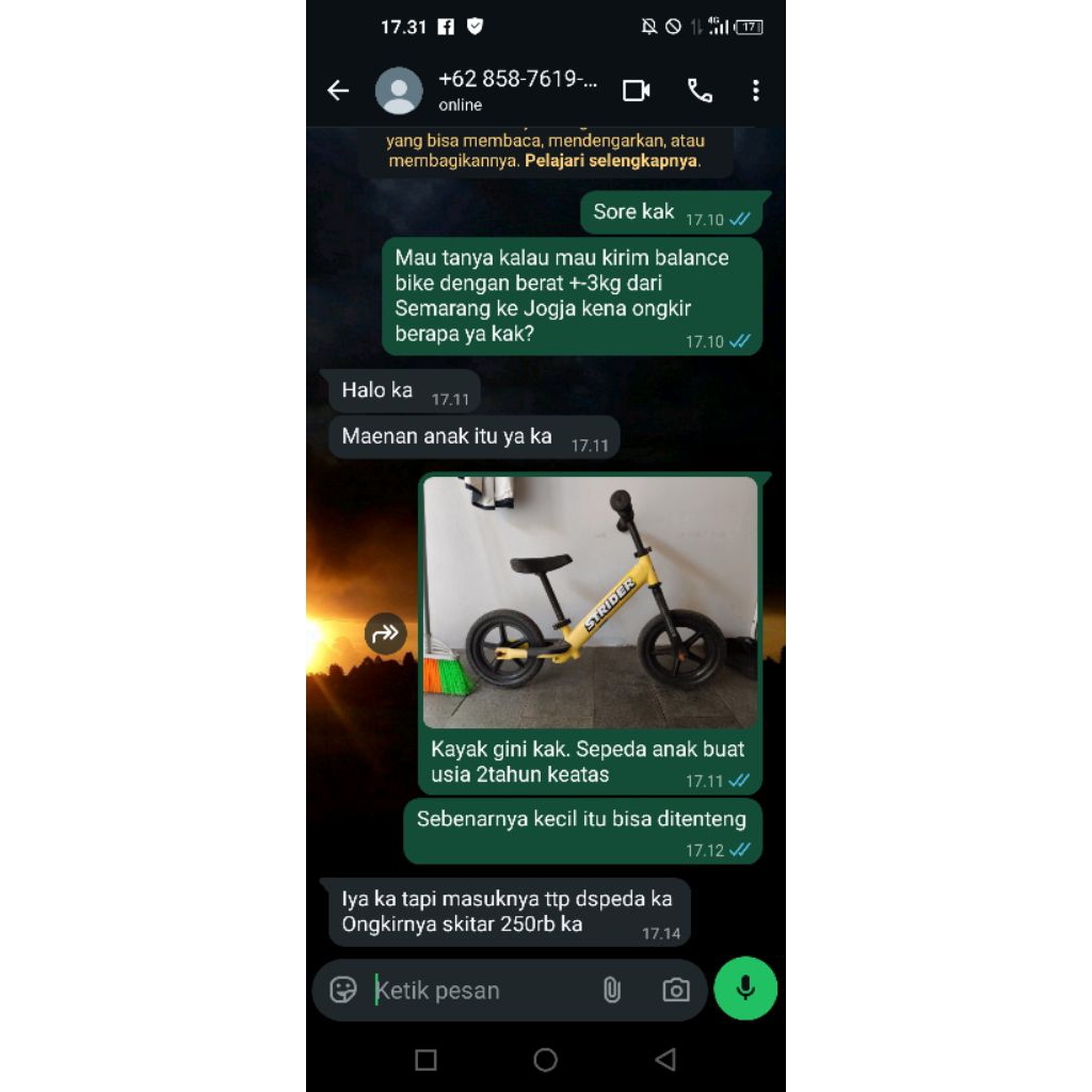 balance bike strider