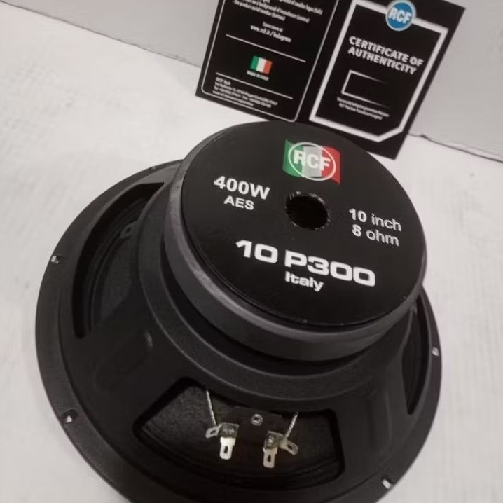 Speaker Komponen 10Inch//RCF10P300 LowSub,Middle High,  Original Italy