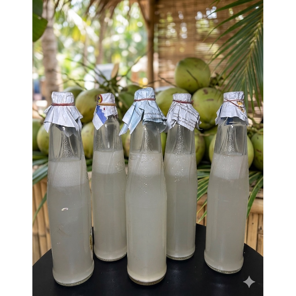 STARTER NATA DE COCO, BIBIT NATA 500ml