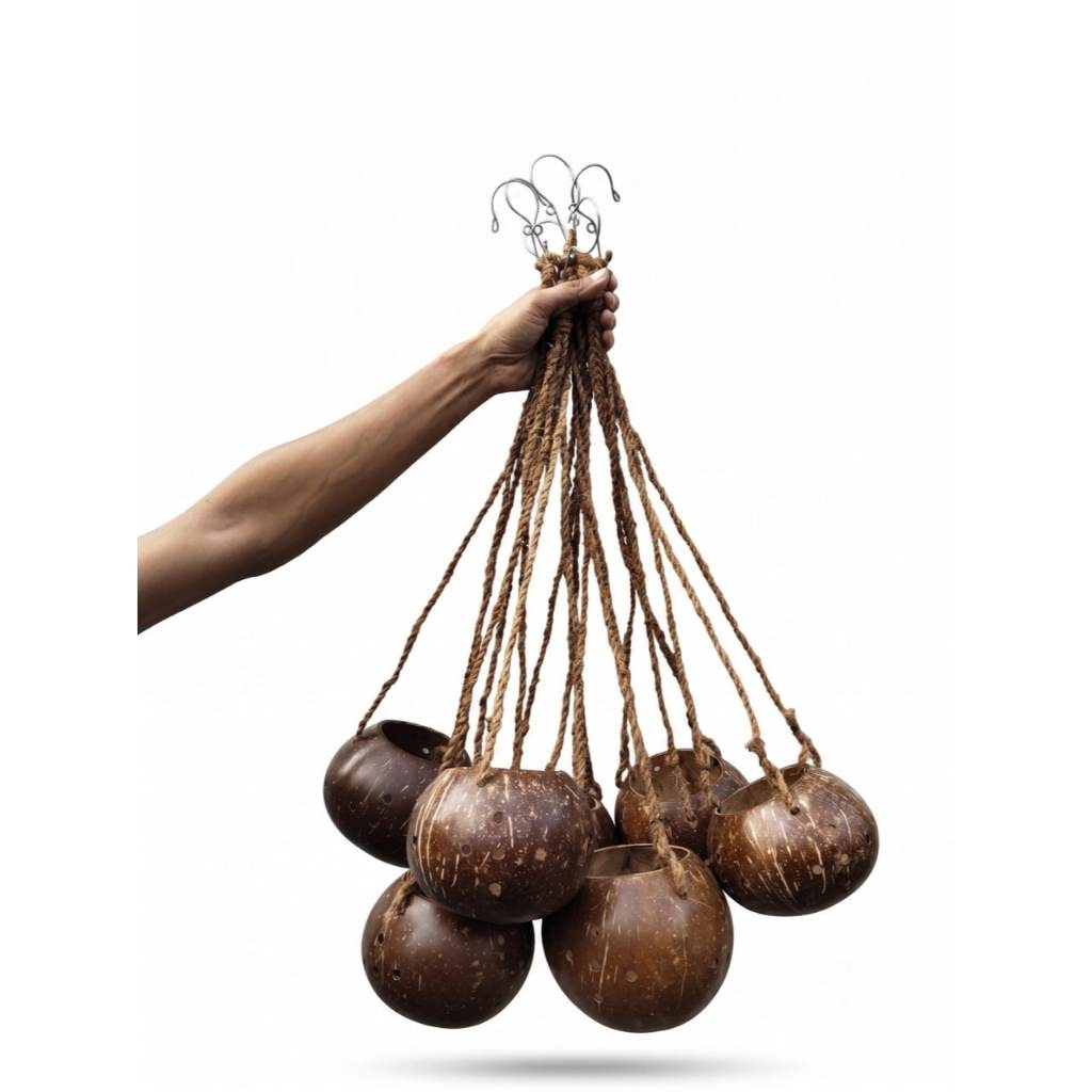 Vas gantung anggrek bulan dendrobium batok