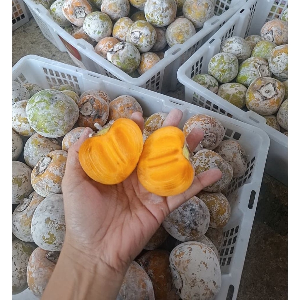 KESEMEK 1KG MANIS
