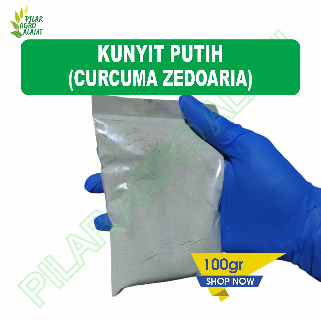 Bubuk kunyit putih 100gr original bermanfaat untuk kesehatan