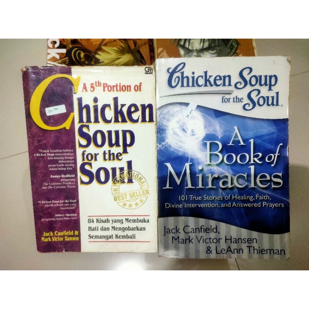 Novel bekas Chicken soup for the soul original