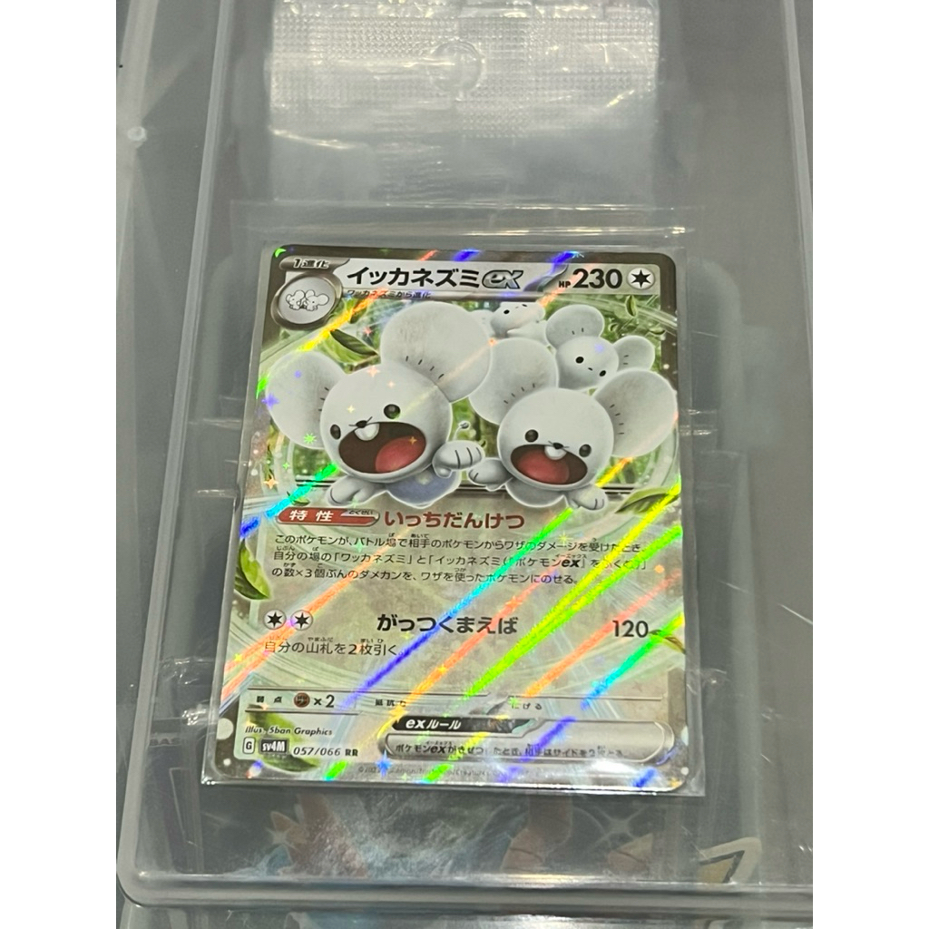 kartu pokemon maushold RR jpn