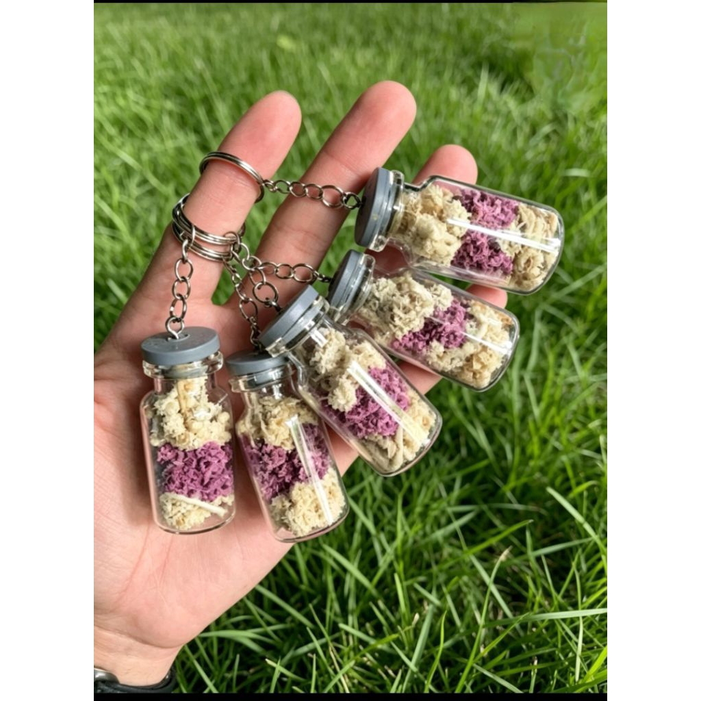 Gantungan Kunci Bunga Kering Edelweis Mix 3 Warna - Botol Kaca, Souvenir Rustic
