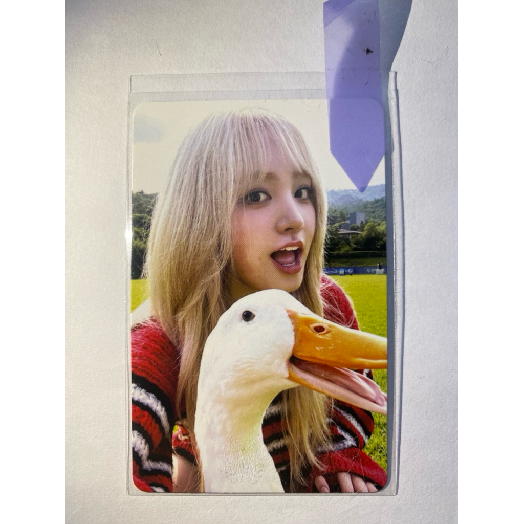 Liz IVE Photocard