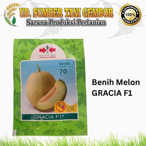 BENIH MELON - BENIH MELON GRACIA F1
