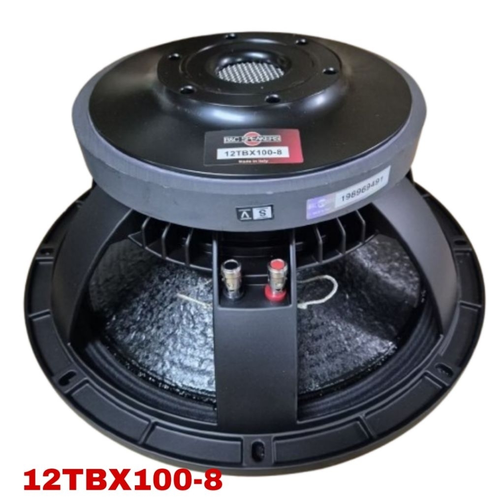 Speaker 12in BNC 12TBX100 - 8 B&C 12TBX100