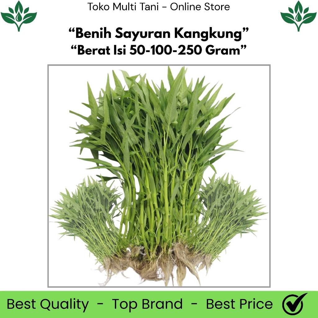 Benih Sayuran Kangkung Berat Isi 50/100/250 Gram - Benih Kangkung 50 Gram - Benih Kangkung 100 Gram 