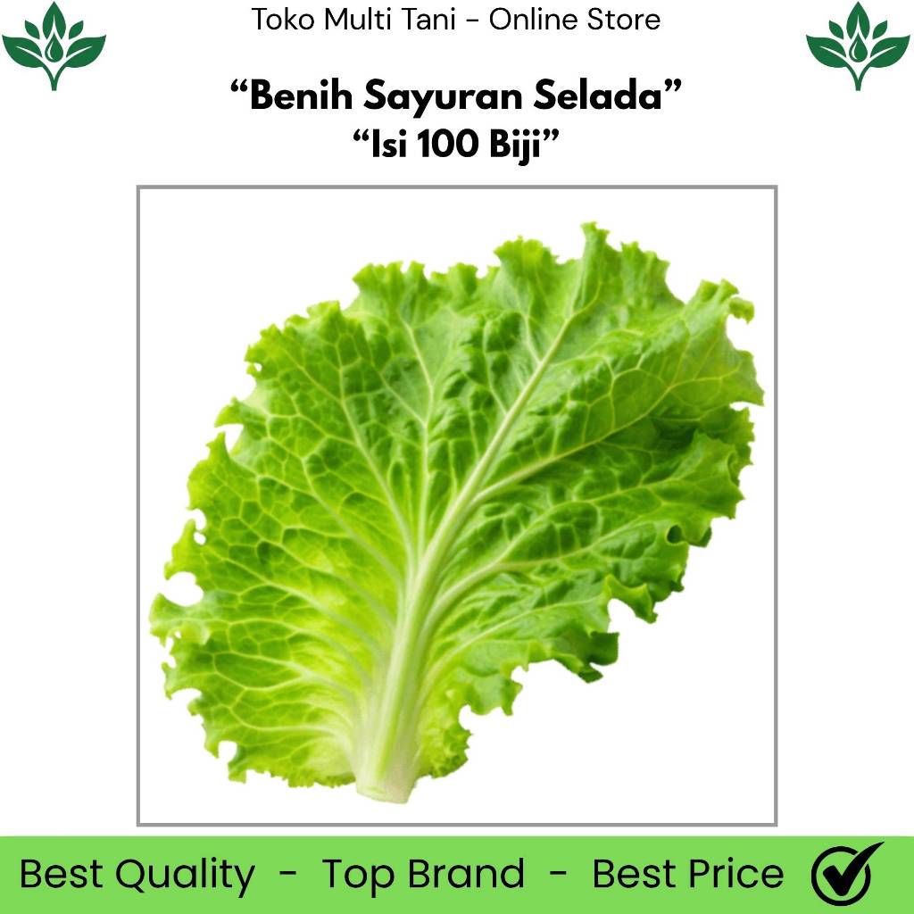 Benih Sayuran Selada Isi 100 Biji - Benih Selada 100 Biji - Benih Selada Hidroponik - Benih Selada -