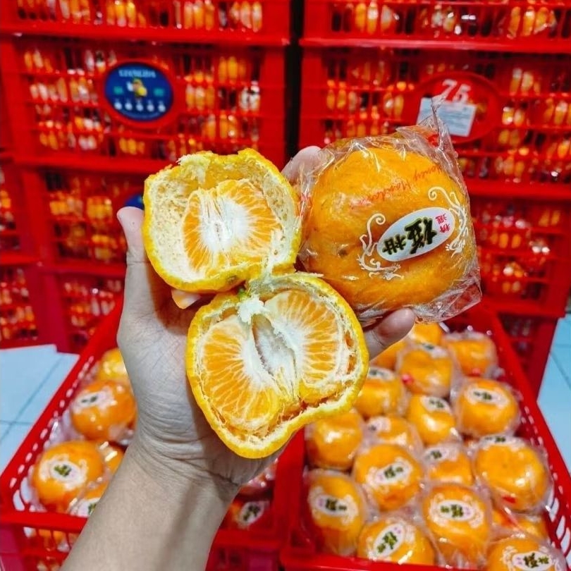 JERUK PONKAM HDL MANIS 1kg