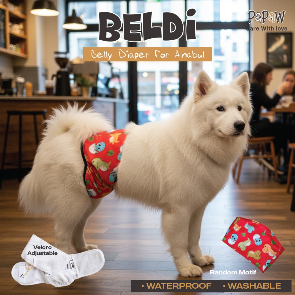 Popok Anjing Jantan Bisa Dicuci Washable & Waterproof Manner Belt Kucing Anabul Anti Tembus Bocor