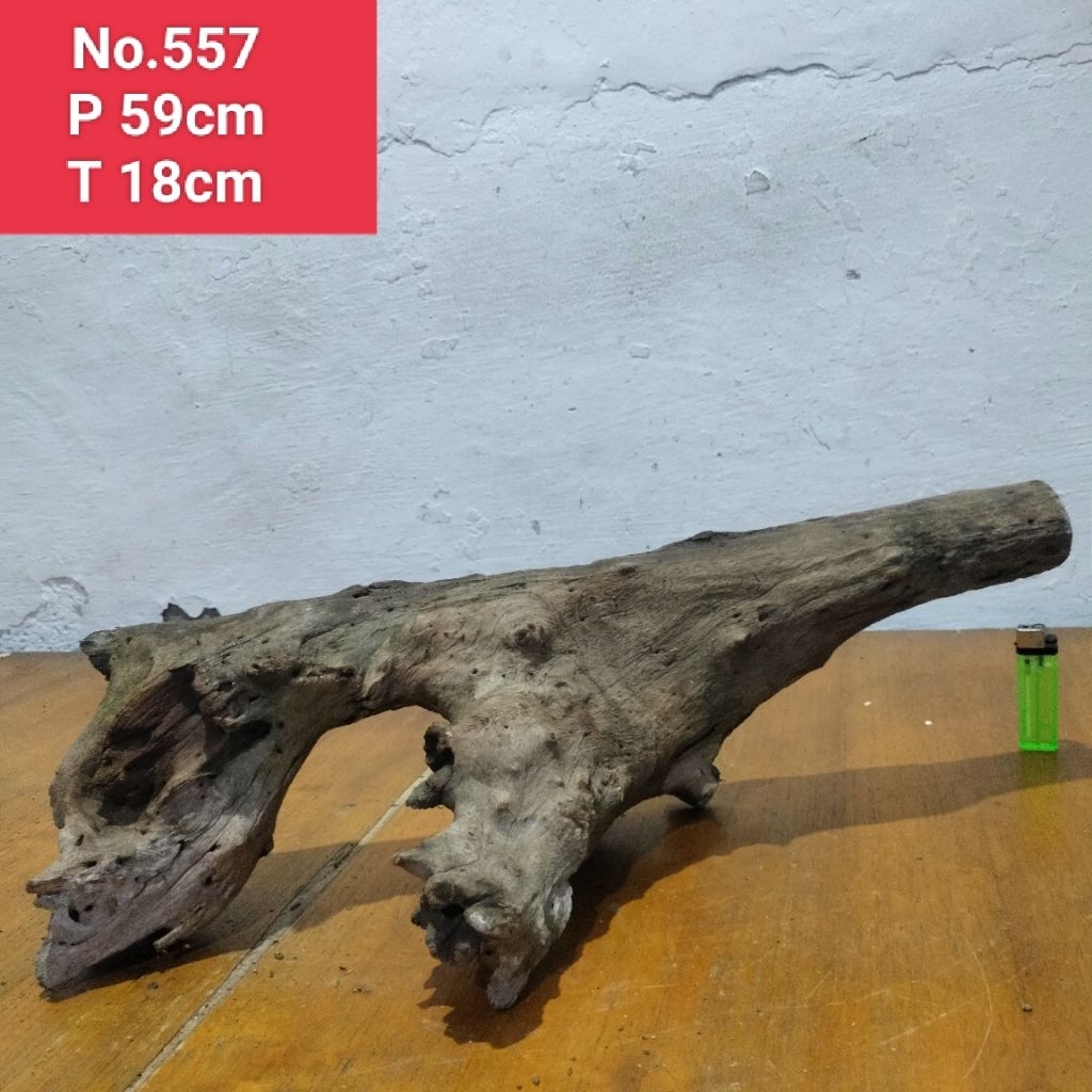 bonggol kayu santigi laut akar dekorasi aquascape aquarium 557