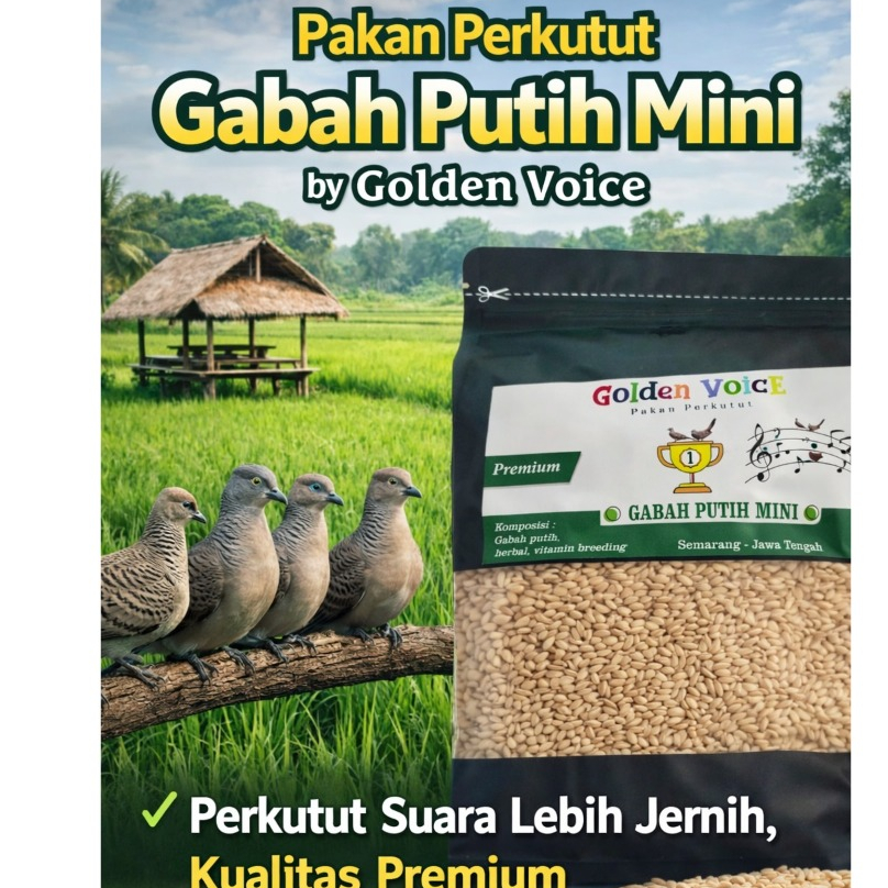 gabah putih bangkok premium 1kg