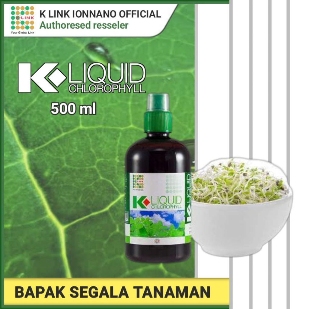 Chlorophyll klink | Klorofil klink original