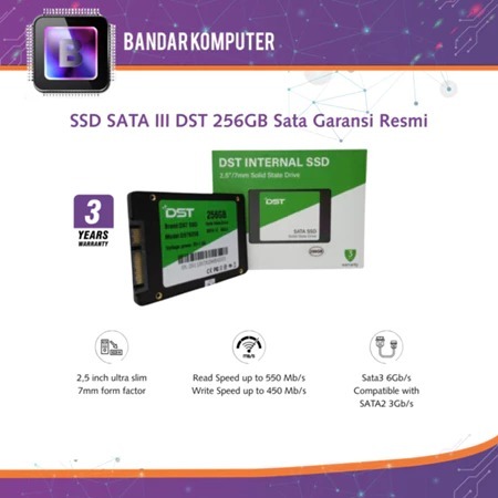 SSD SATA III DST 256GB Sata Garansi Resmico