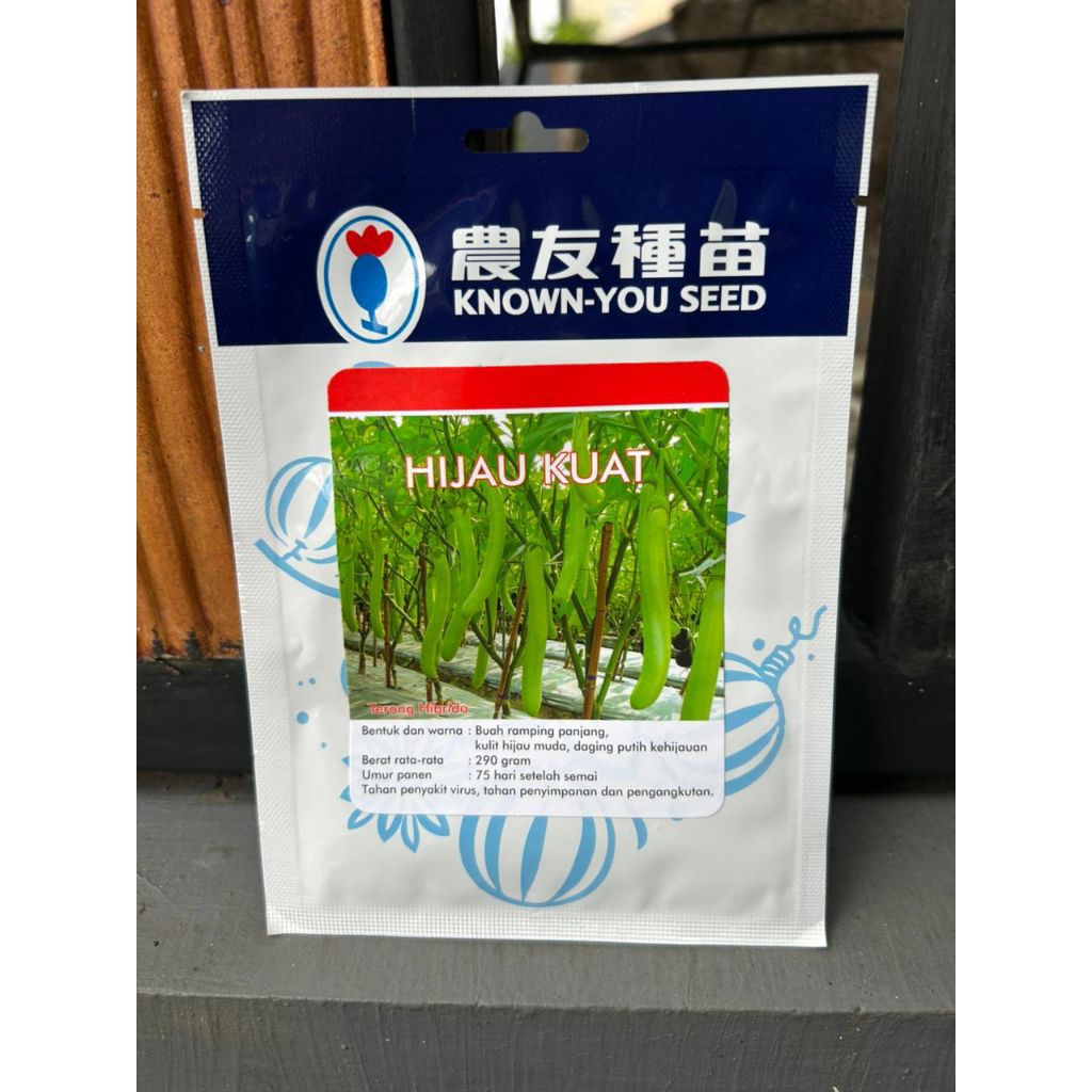 benih terong hijau kuat original perusahaan