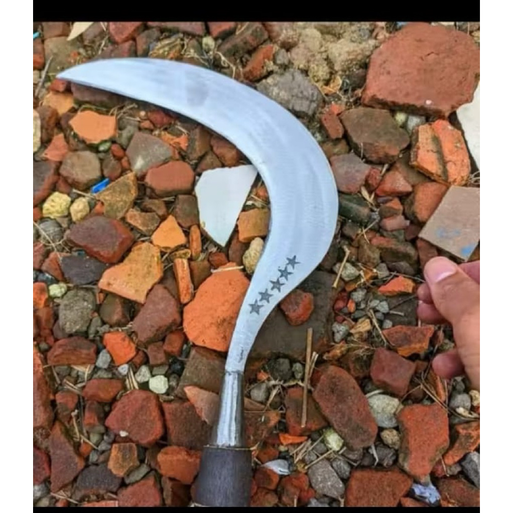 1pcs arit rumput sabit besar ful baja asli khas madura