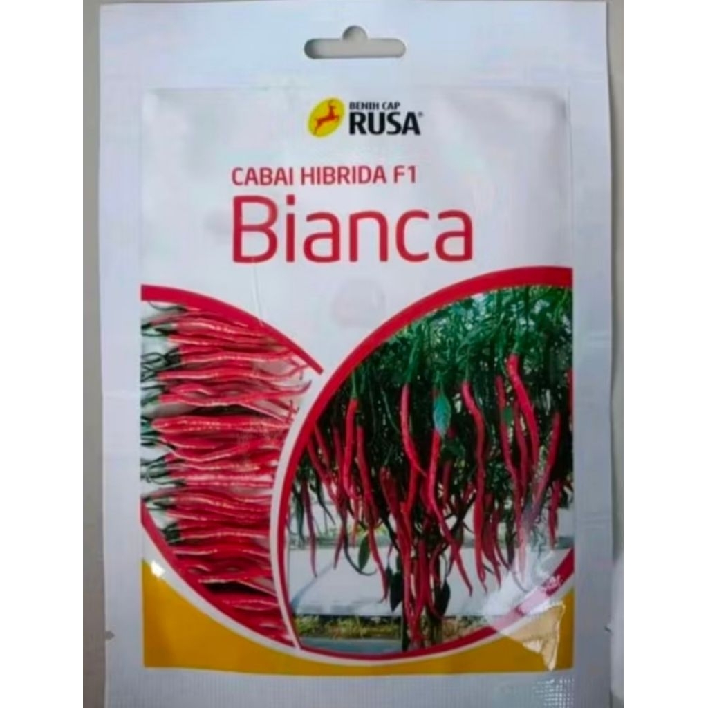 Benih cabe keriting BIANCA F1