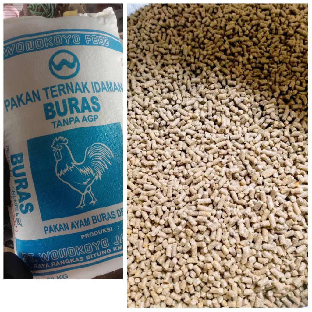 pakan ayam buras pelet wonokoyo kemasan 10kg