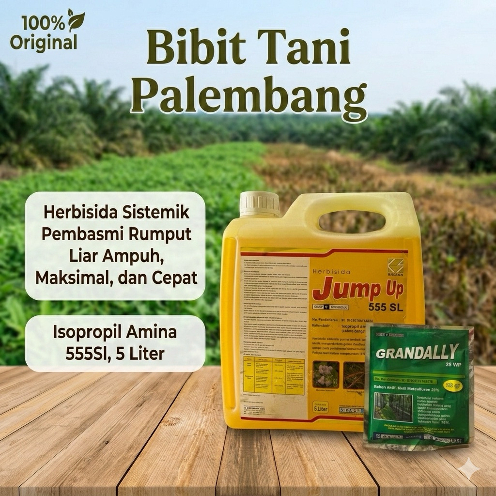 JUMP UP 555 SL 5 Liter FREE GRANDALLY 25GR herbisida sistemik pengendali gulma berdaun lebar/racun r
