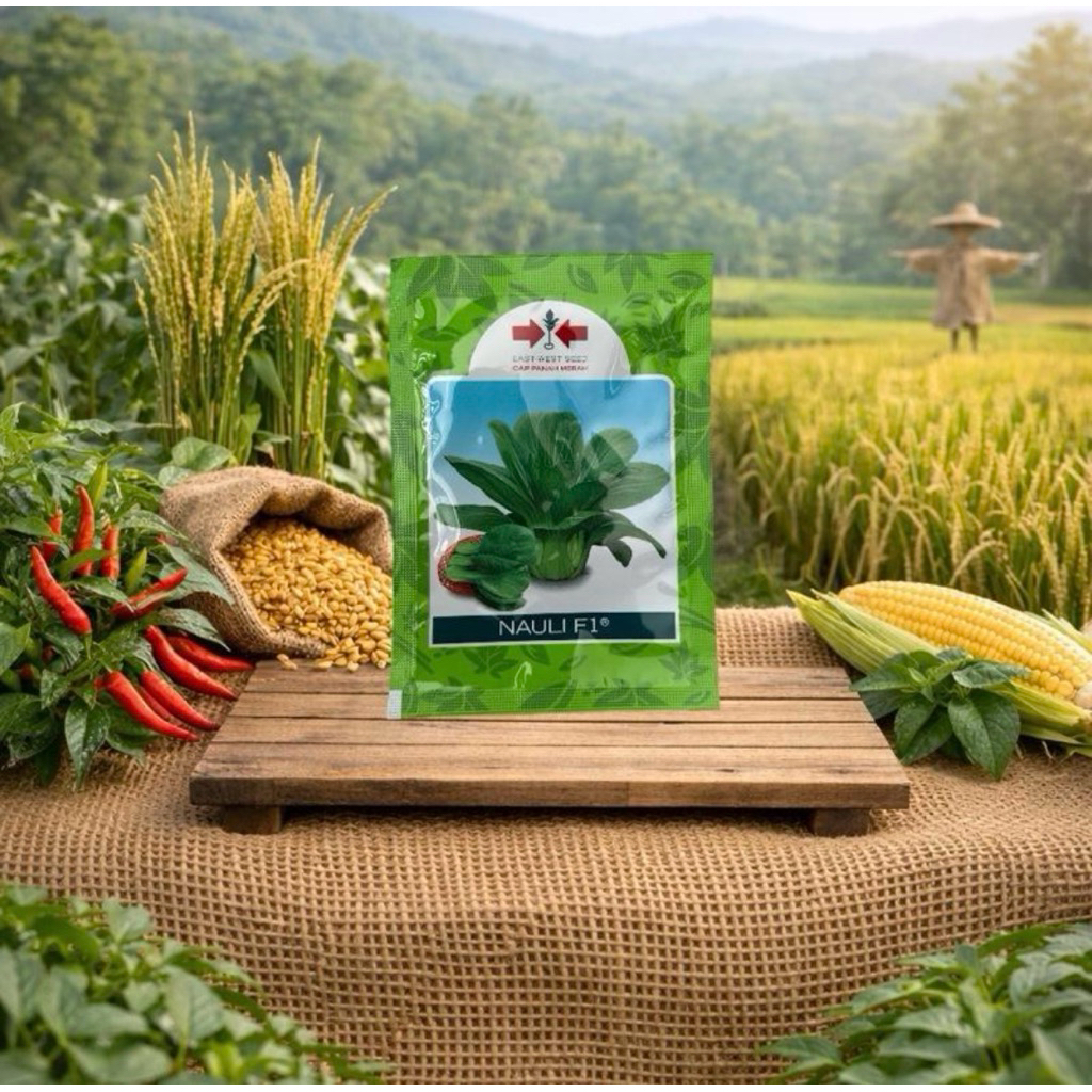 Benih Pakcoy Nauli 10 Gr