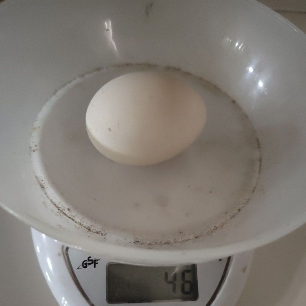 telur ayam kampung Elba