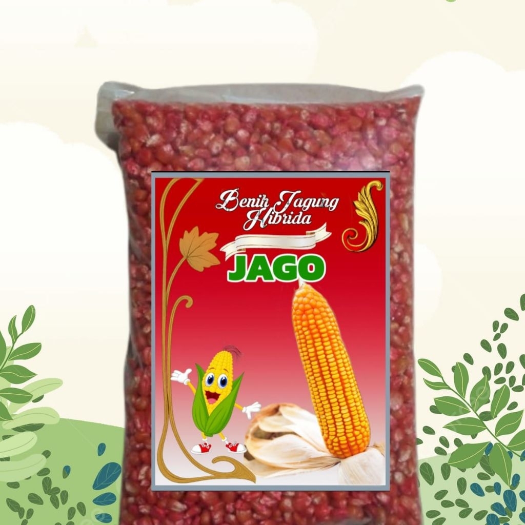 Benih jagung JAGO