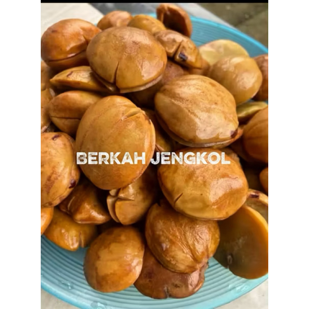 jengkol tua rebus mateng pulen ukuran sedang&besar 1kg (super)
