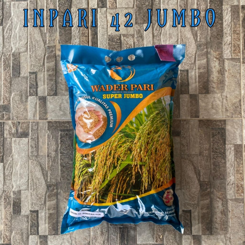 Benih padi inpari 42
