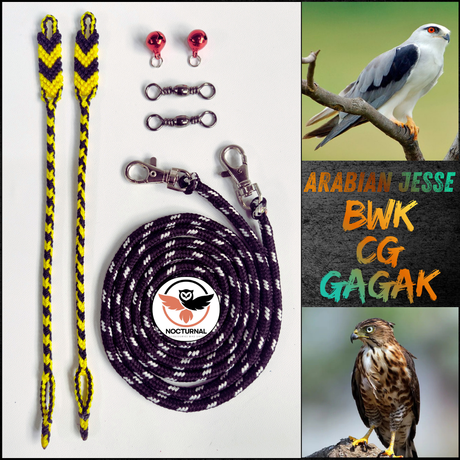 Arabian Jesse burung hantu elang alap alap CG BWK Gagak Javan owlet Tali angklet/anklet Falconry BOP
