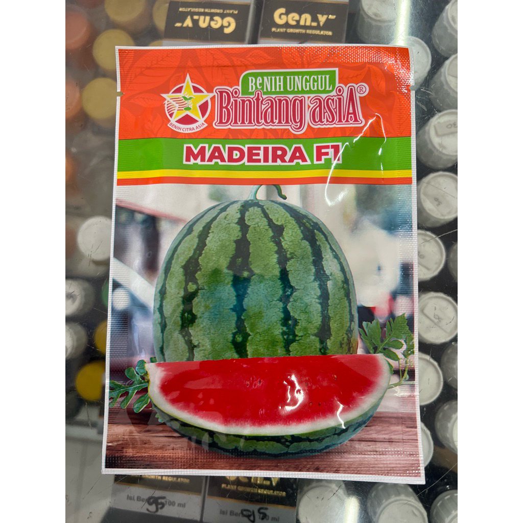 Benih semangka BERBIJI MADEIRA kemasan 20Gram |Bintang Asia