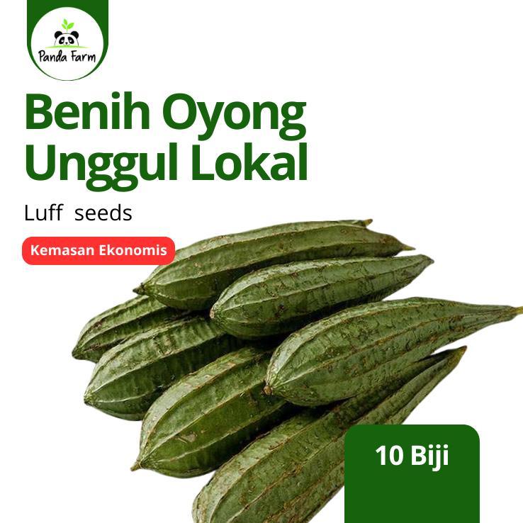 isi 10 Benih Biji Bibit Lokal Unggul Oyong / Gambas Hibrida F1