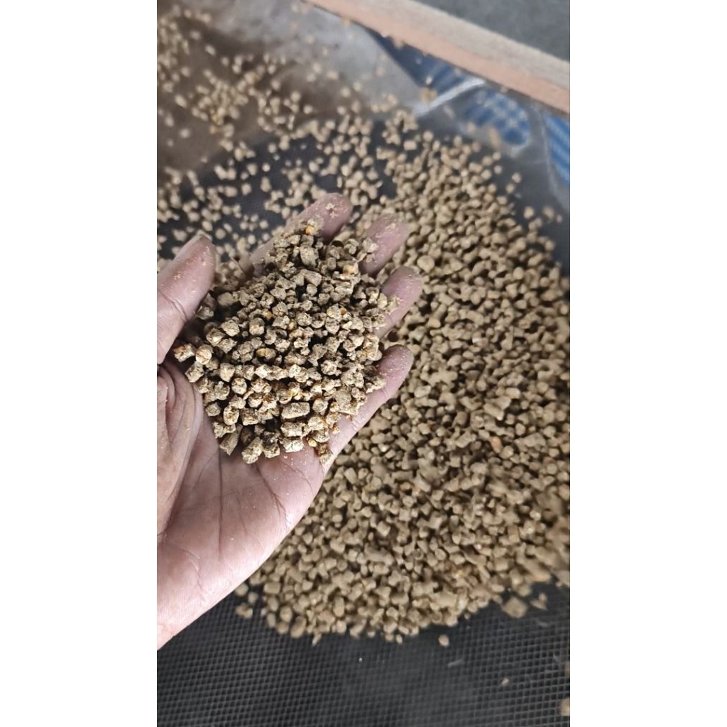 pakan jadi ayam petelur 100kg