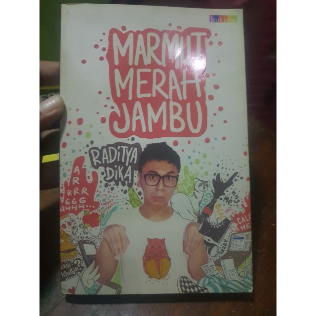 buku raditya dika
