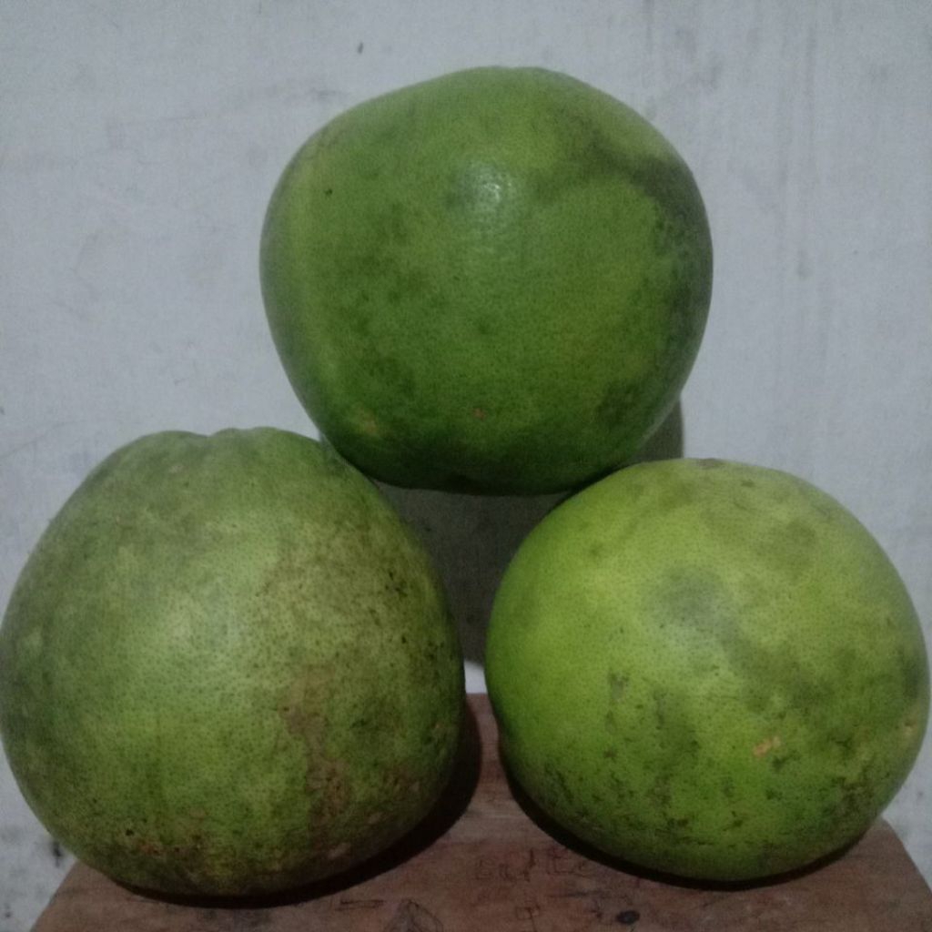 jeruk bali/ pamelo