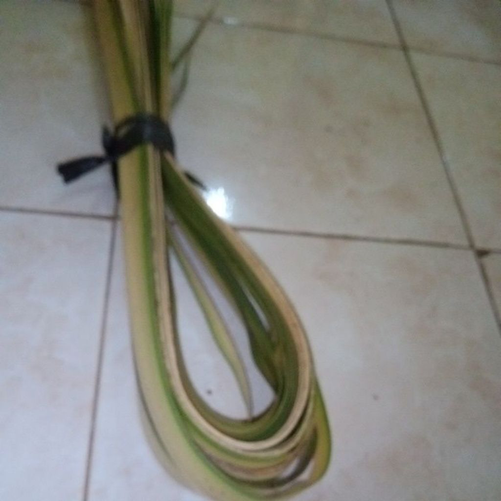 Daun Kelapa Muda Janur