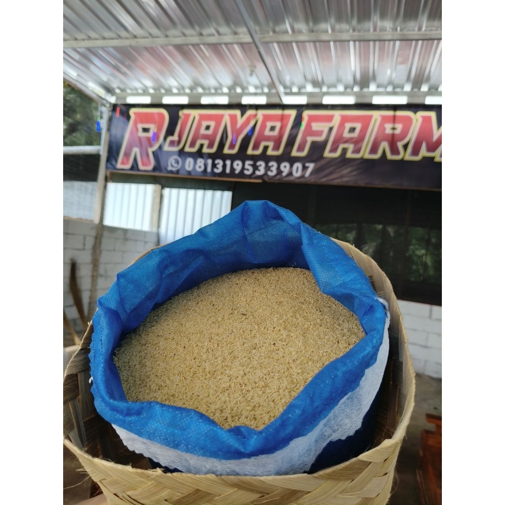 Telur Jangkrik Madu Kunyit ( SUPER KUNING TANPA CAMPURAN ) 3 KG