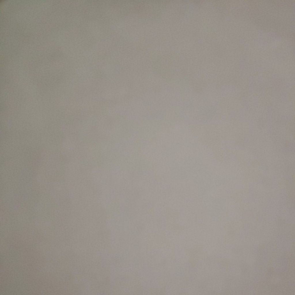 barang preloved hamster