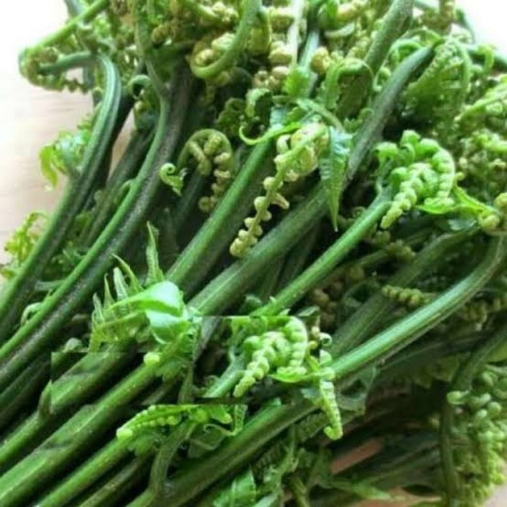 Sayur Pakis Segar 1 ikat 500 gram  - Tingkatkan Produksi Sel Darah Merah