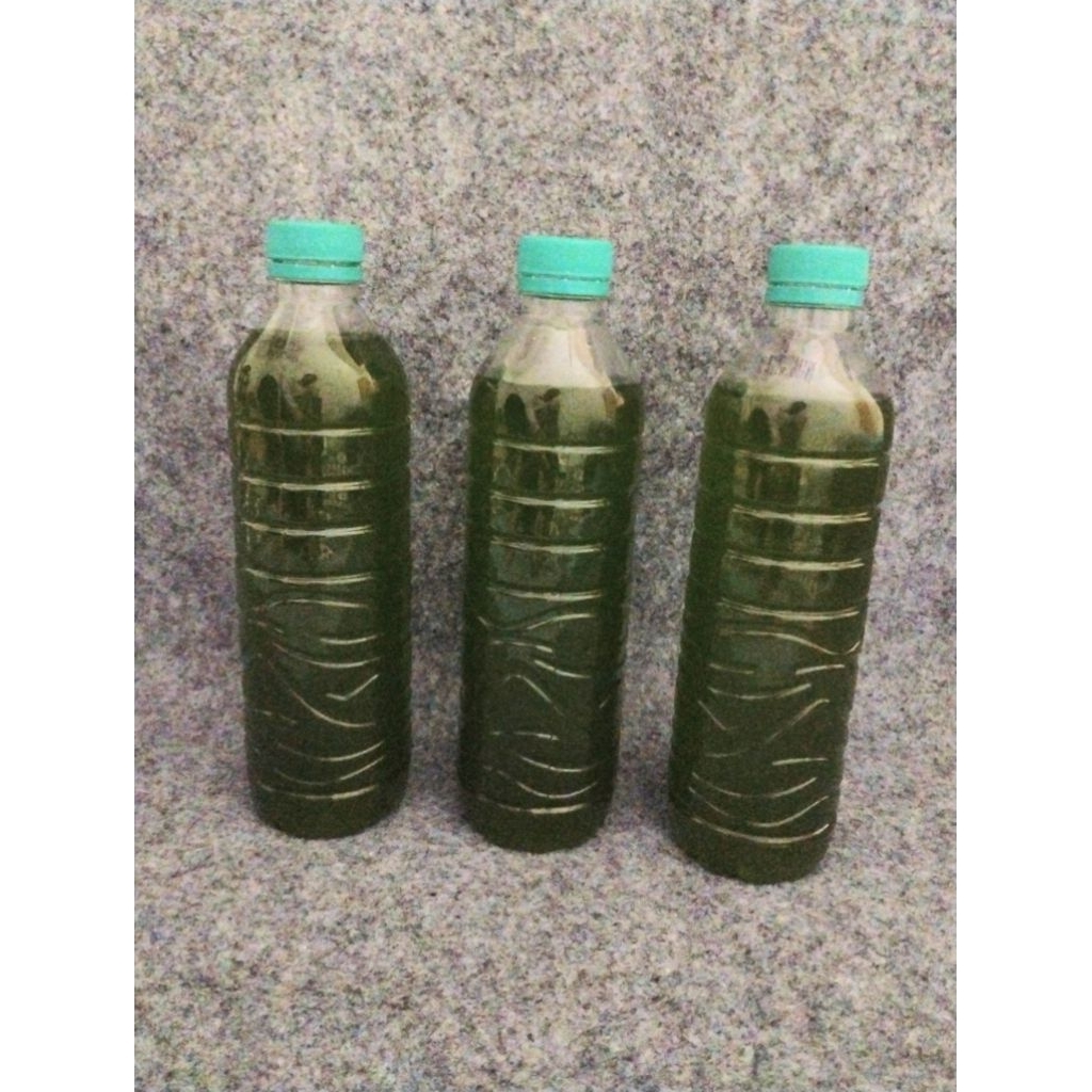 Air hijau chlorella 600 ml
