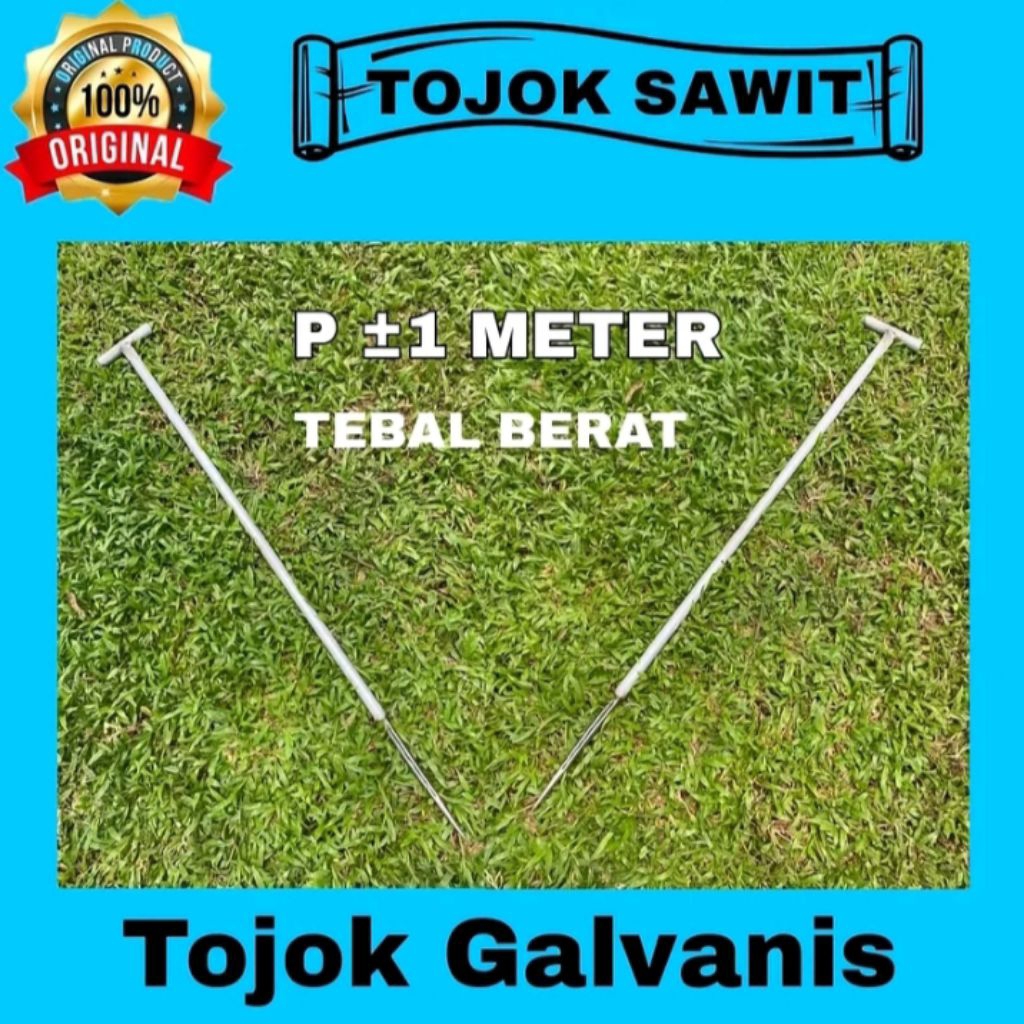 tojok sawit galvanis